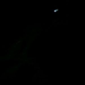 Meet your Posher, Jose